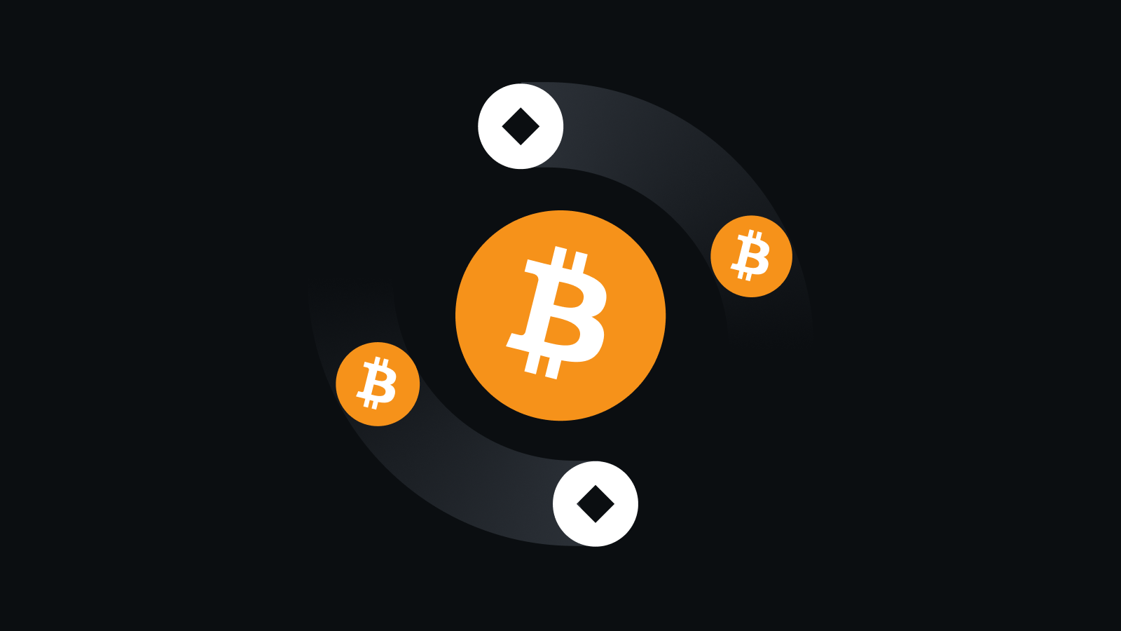 币信APP 6.0新版上线